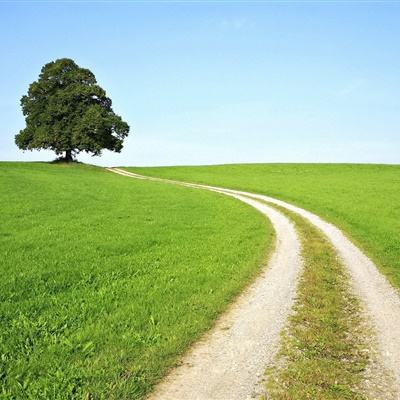 竞技宝app最新版本