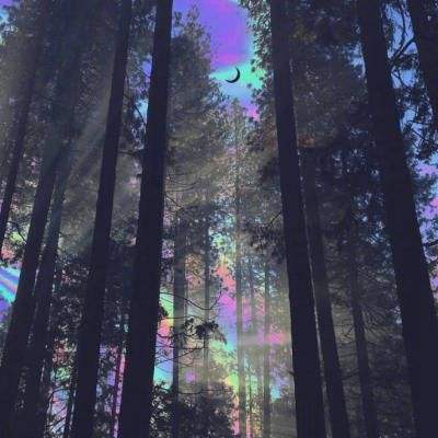 ku体育app官网版下载