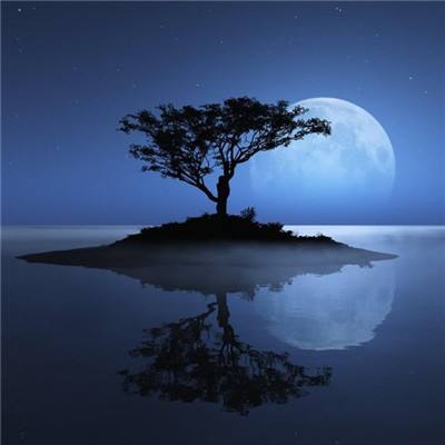 南宫28ng娱乐手机app下载